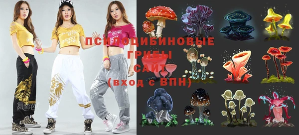 мет Медвежьегорск