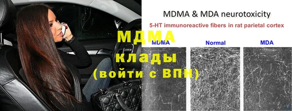 амф Магас