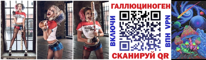 Псилоцибиновые грибы Psilocybe  Кизляр 