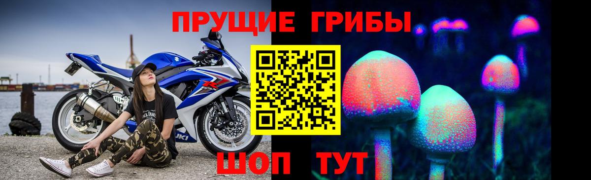 Галлюциногенные грибы Psilocybe Кизляр